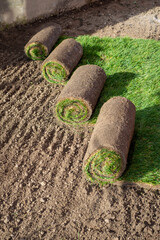Roll of fresh sod grass planted on a newly landscaped lawn