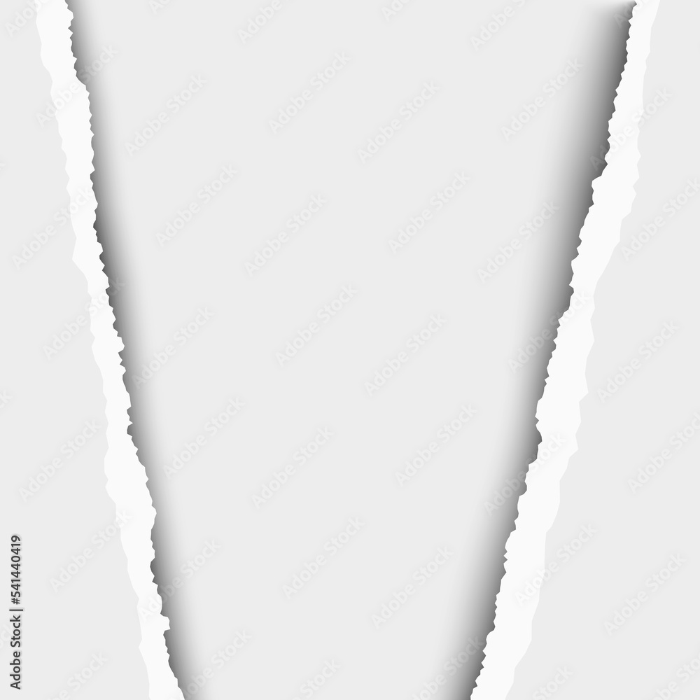 Sticker torn, snatched vertical window in sheet of vector white paper.