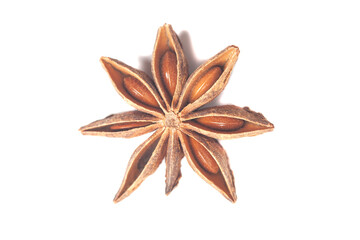 Star anise isolated on white background. Dried star anise spice fruits