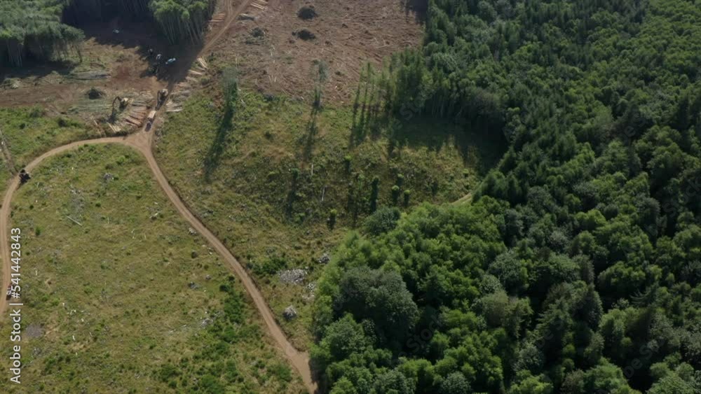 Poster drone flying high over logging operation - clearcutting deforestation