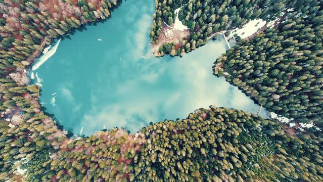 Aerial top view on heart of Ukrainian part of Carpathians Mountains - the lake Synevyr(dragon eye) surrounded trees