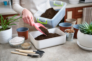 preparation of soil substrate for planting houseplant into a pot