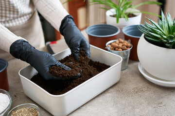 preparation of soil substrate for planting houseplant into a pot