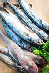 BBQ Outdoor with food preparations. People eating and dining outdoor. Lots of vegetables, fish, and meat.