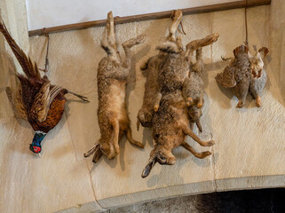 a selection of hunted stuffed eating animals (pheasant, rabbit, hare and partridge) hang in the kitchen of a 13th century Chateau, France