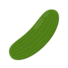 Cucumber vector illustration on white background.