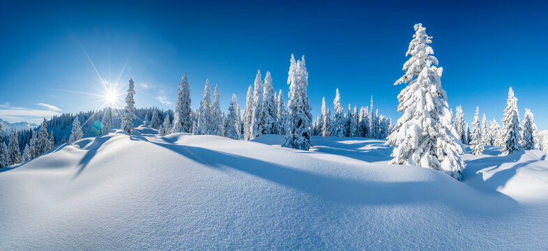 Winterpanorama - Verschneite Winterlandschaft
