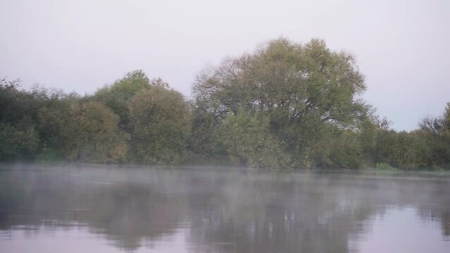 Vacation and hobby concept. Video filming from a motor boat during the movement of the river bank in the fog, ducks taking off.
