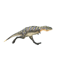 Fototapeta premium Aucasaurus dinosaur running. 3D illustration isolated on transparent background.