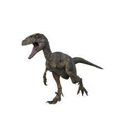 Deinonychus dinosaur running. 3D illustration isolated on transparent background.