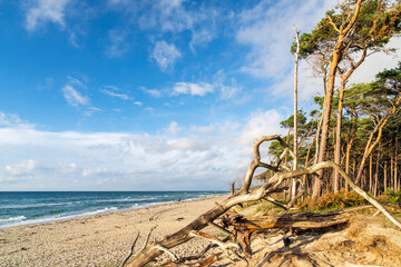 Abendstimmung am Darßer Weststrand, Fischland-Darß-Zingst, Mecklenburg-Vorpommern, Deutschland