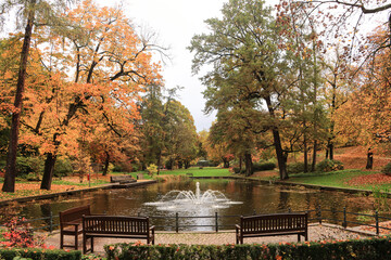 Herbst im Fuldaer Schlossgarten, Stiller Moment am Teich