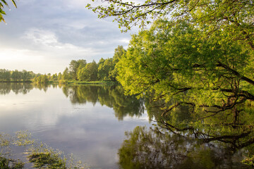 Fototapeta premium Dawn on the river. the sun's rays illuminate the trees and the pond in the early morning.