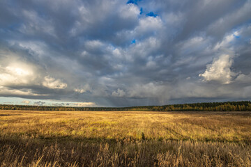 Dramatic sky over the horizon. Autumn landscape, the sun's rays illuminate the field and forest. Bright autumn evening.