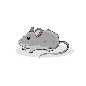 Сute cartoon little mouse.Gray mouse.Vector illustration