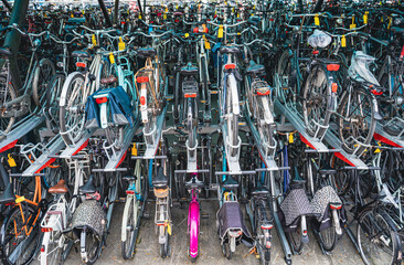 Parking dla rowerów. Rowery ułożone w rzędzie, zdjęcie w zbliżeniu może być wykorzystane jako tło lub tapeta. - obrazy, fototapety, plakaty