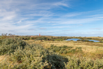 Den Helder, Netherlands. Oktober 2022. Reflection in a little pond.