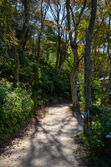 六甲高山植物園