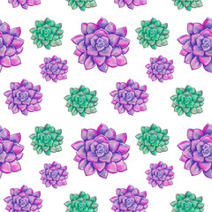 Succulent houseplant, flower seamless pattern. Floral natural illustration for gift wrapping paper, wallpaper, fabric design. High quality illustration