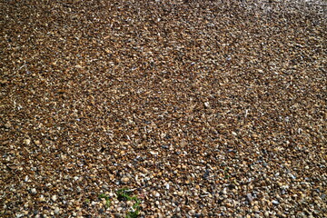 Shells and pebbles