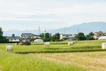 トラクターが稲刈りをしている　japan riceharvest