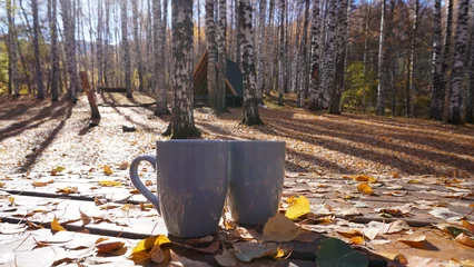 Fotobehang Two gray glasses on a wooden table in the woods. On the table are yellow-orange leaves that have fallen from the birches. In the distance, you can see tall autumn birches, shadows, a shelter house © SergeyPanikhin