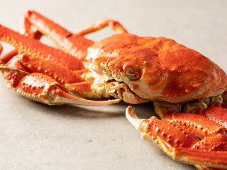 Close-up of fresh snow crab, Steamed snow crab