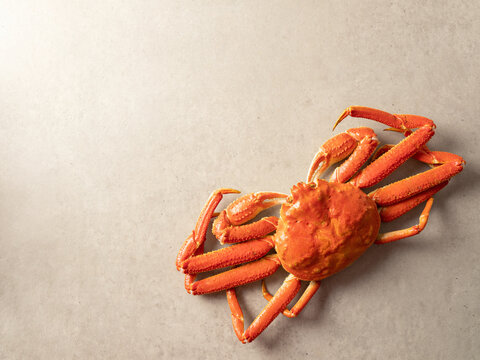 Fresh red snow crab, steamed snow crab