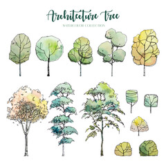 Architecture Tree Watercolor Collection 2