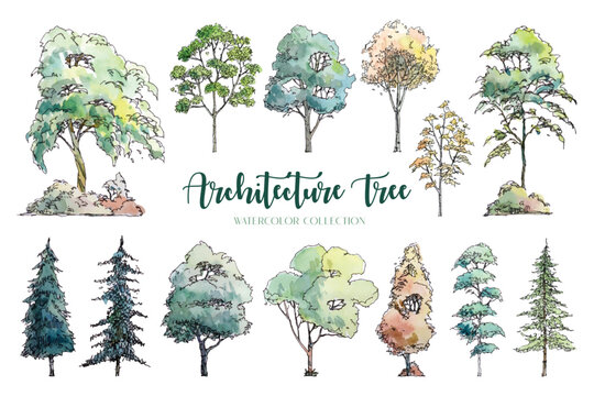 Architecture Tree Watercolor Collection 1