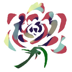 赤いバラ　単品