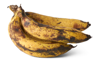 bunch of over ripe black or brown spotted banana, bruises on fruit isolated