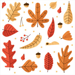 Obraz premium Set of scandinavian colorful autumn leaves, acorns and berries. Isolated on white background. Autumn leaves set or collection. Simple childish cartoon flat style. vector illustration