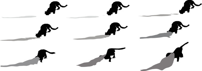 Crocodile attack the tiger, Image sequence for animation..