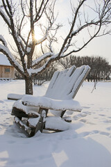 Wooden Adirondack chair covered in freshly fallen snow underneath the bare branches of a deciduous tree in the backyard garden during winter.