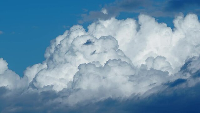 Heavy moving clouds float in clear blue sky on sunny summer day. Masses of white and grey cumulus clouds. Cloudscape background time lapse