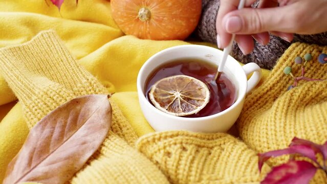Hello fall. Cozy warm image. Cozy autumn composition, sweater weather. Pumpkins, hot tea with lemon and sweaters on window