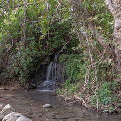 View of the Water-Walking segment of Snir (Hatsbani) Stream, Snir Stream Nature Reserve, kibbutz...