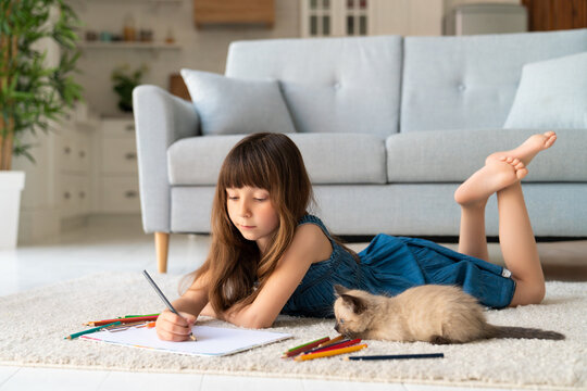 Naklejki A cute funny girl in a denim sundress and bangs in her hair lies in a room on a carpet and draws with colored pencils. Next to her is a four-legged friend - a small playful fluffy kitten