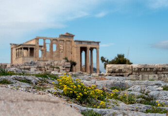 Fototapeta premium ancient building in Athens Greece