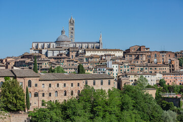 Fototapeta premium Panoramic view of Siena, the Dome and Bell Tower of Siena Cathedral (Duomo di Siena), ancient houses.