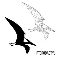 Abstract geometric triangle polygonal dino pterodactyl silhouette isolated on white background