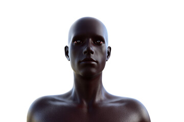 3D illustration of a male black torso on a white background. metal mannequin.