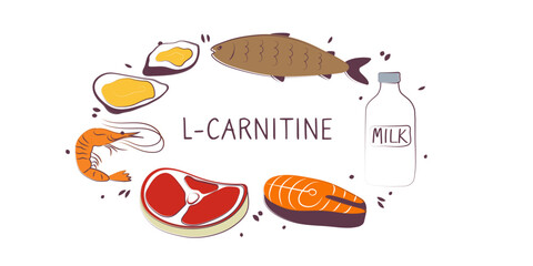 L-carnitine-containing food. Groups of healthy products containing vitamins and minerals. Set of fruits, vegetables, meats, fish and dairy