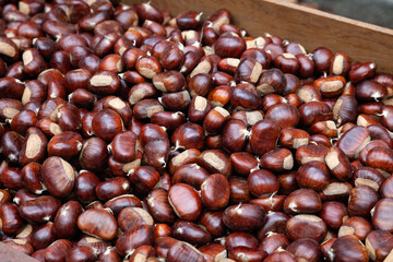 chestnuts in a box at the market