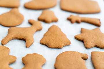 Fresh baked homemade Chritstmas gingerbread cookie on a baking paper. Selective focus