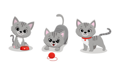 Set of isolated cute cats in different poses in cartoon style.Grey kitten.Vector illustration