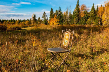 Colourful chair in autumn meadow 