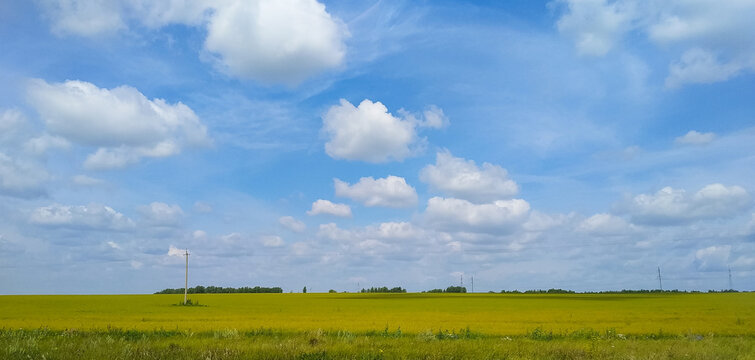 Beautiful cloudy landscape over a field with green grass and power lines