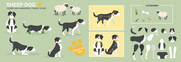 Collie sheep dog ready to animate. Vector illustration, multiple poses and accessories. Character animation puppy, cute dog, sheep herding. Broken down ready to animate. Farming sheep. cartoon. 